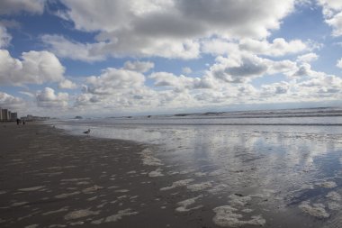 kumlu bir kasırga. ardından new York