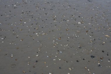 kumlu bir kasırga. ardından new York