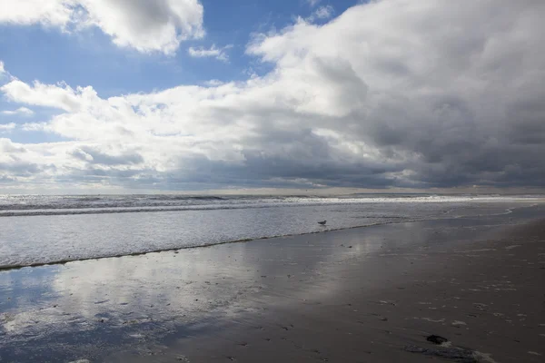 Orkanen sandstranden. efterdyningarna i new york — Stockfoto