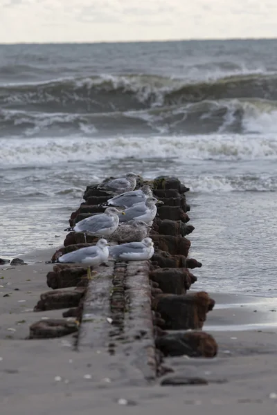 Orkanen sandstranden. efterdyningarna i new york — Stockfoto