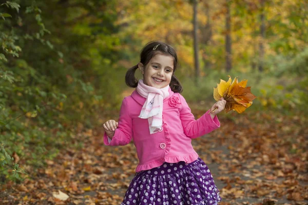 Adorable girl in autumn park — Stock Photo, Image