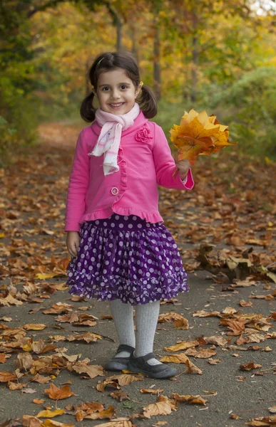 Adorable girl in autumn park — Stock Photo, Image
