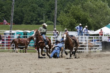 Rodeo
