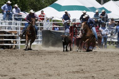 Rodeo