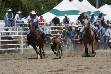 Rodeo