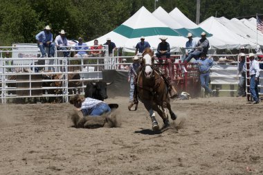 Rodeo