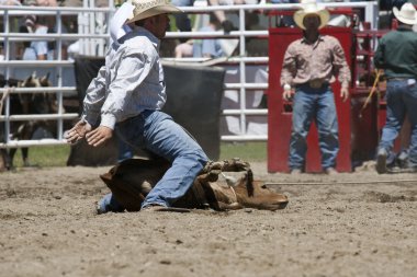 Rodeo