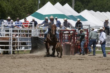 Rodeo