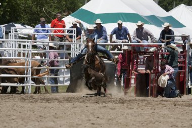Rodeo