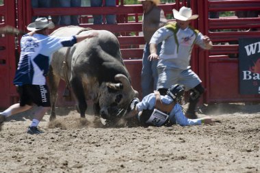 Rodeo