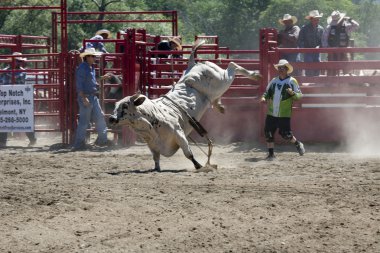 Rodeo