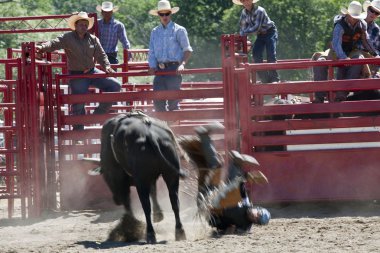 Rodeo