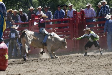 Rodeo