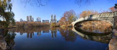 Panorama of Central Park clipart