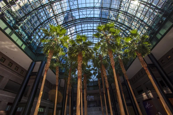 World Financial Center Winter Garden Atrium - Manhattan, New Yor — Stock Photo, Image