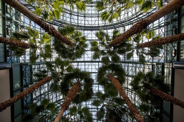 Wereld financiële centrum wintertuin atrium - manhattan, nieuwe yor — Stockfoto