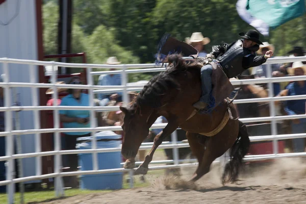 Rodeo — Foto Stock