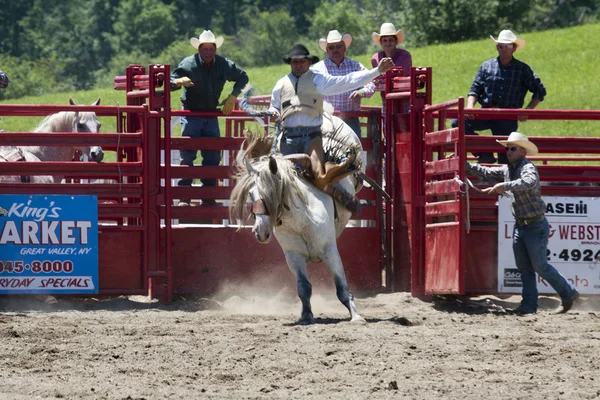 Cowboy legs Stock Photos, Royalty Free Cowboy legs Images | Depositphotos