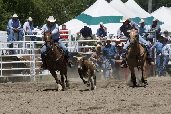 Rodeo. — Zdjęcie stockowe