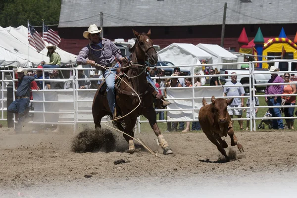 Rodeo. — Zdjęcie stockowe