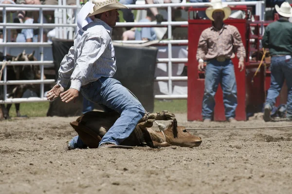 Rodeo Ordförande — Stockfoto