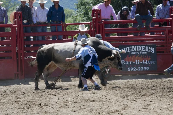 Rodeo Ordförande — Stockfoto