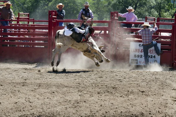 Charreada — Foto de Stock