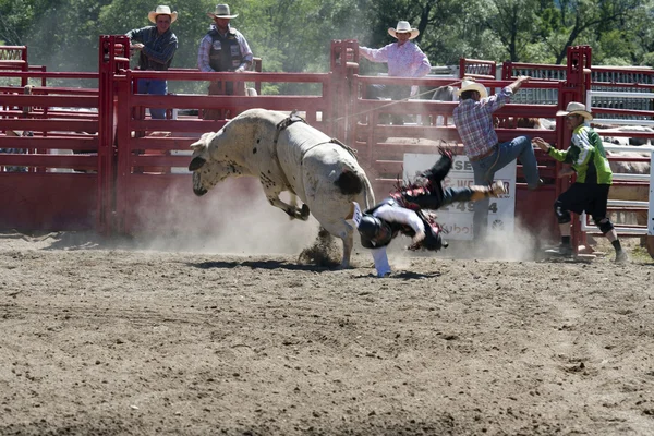 Charreada —  Fotos de Stock