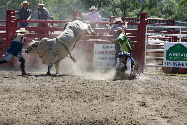 Rodeo — Stockfoto