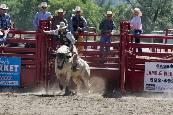 Rodeo — Stock fotografie