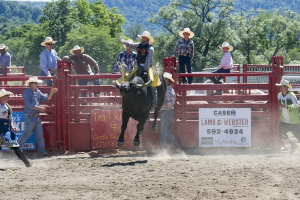 Charreada —  Fotos de Stock