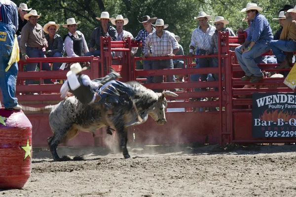 Rodeo — Foto Stock