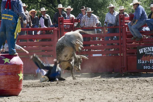 Rodeo — Stockfoto