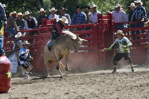 Rodeo — Stockfoto