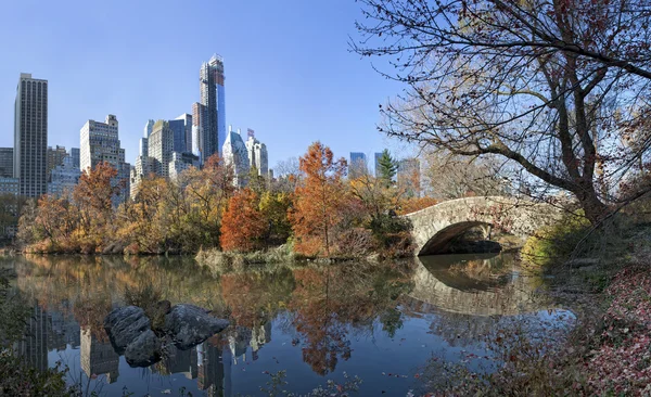 中央公园的纽约城市天际线 — 图库照片