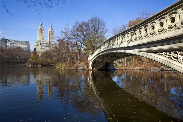 Blick auf den Central Park mit Bogenbrücke — Stockfoto