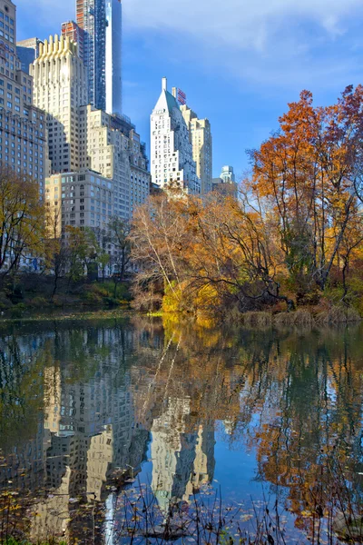 Central park with new york city skyline Royalty Free Stock Images