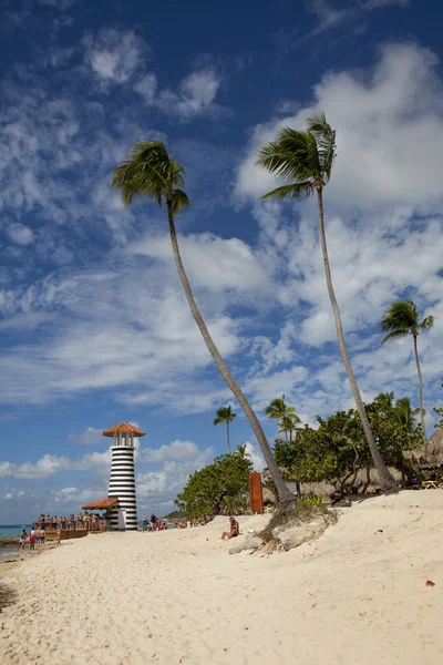 Palmera en la playa tropical — Foto de Stock