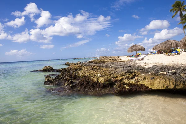 Caribbean reef — Stock Photo, Image