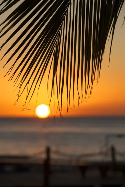 Paradise sunset — Stockfoto