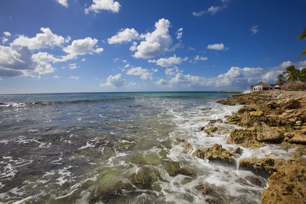 Barriera caraibica — Foto Stock