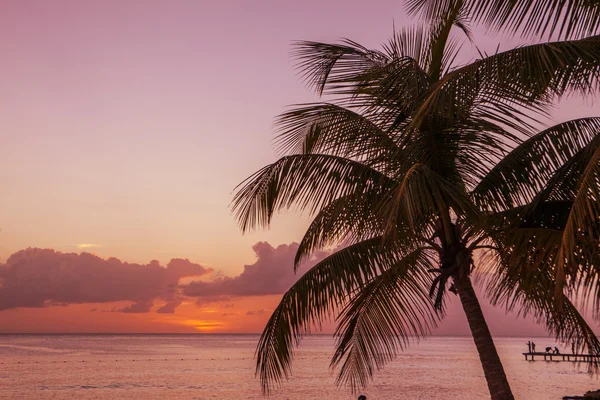 Apus de soare în Caraibe — Fotografie, imagine de stoc