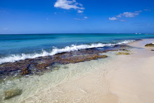 Caribbean reef — Stock Photo, Image