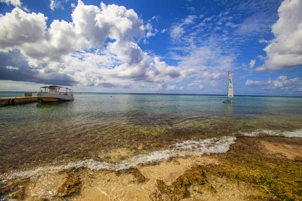 Récif des Caraïbes — Photo