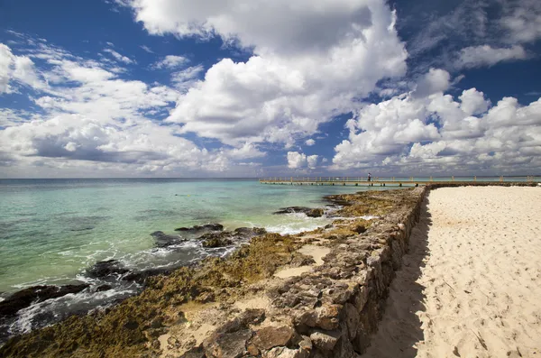 Caribbean reef — Stock Photo, Image