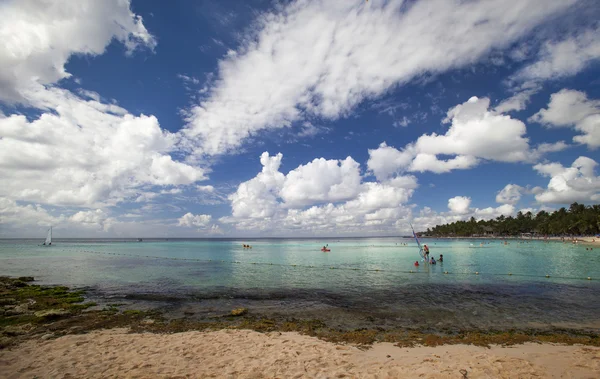 Карибский риф — стоковое фото