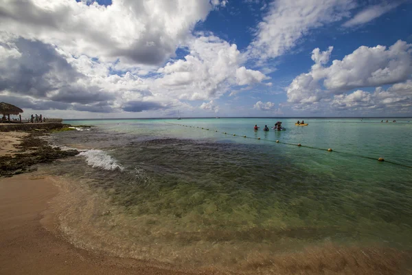 Récif des Caraïbes — Photo