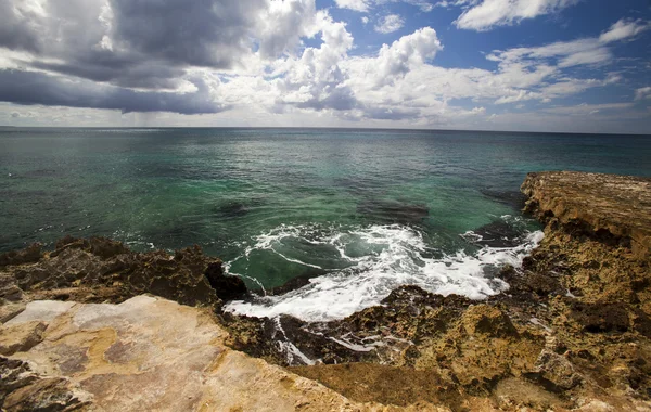 Arrecife del Caribe — Foto de Stock