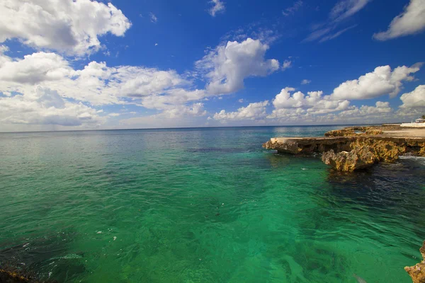 Caribbean reef — Stock Photo, Image