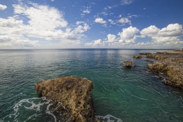 카리브 해 암초 — 스톡 사진